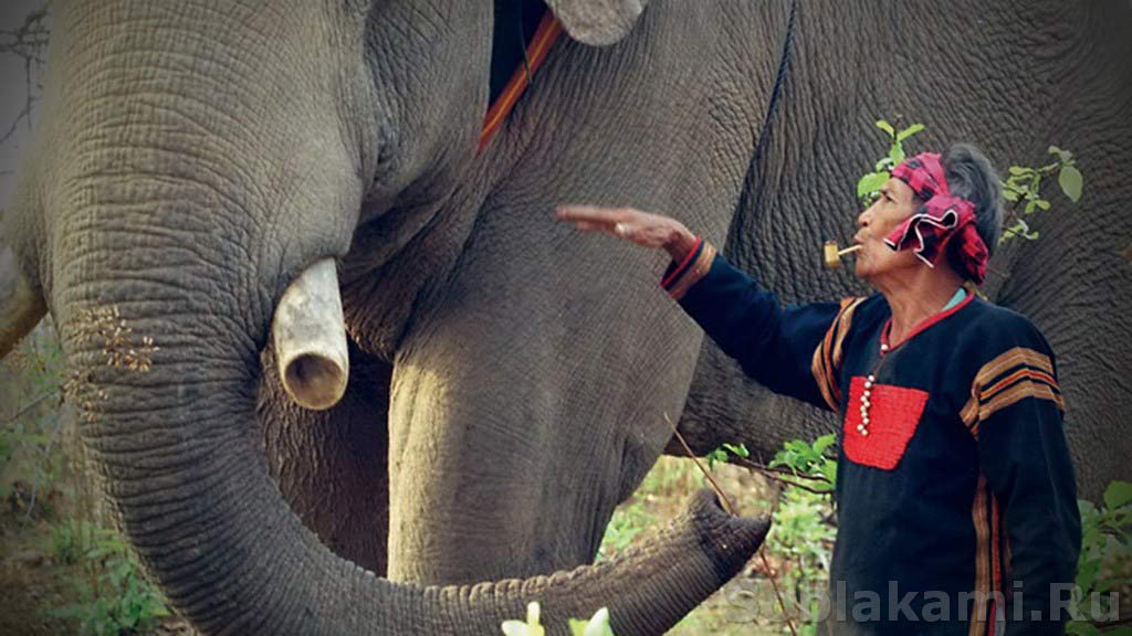 Деревня короля слонов: Buon Don в провинции Даклак