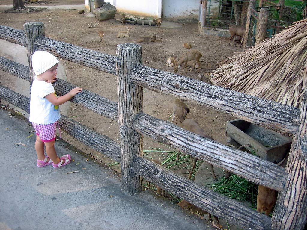 зоопарк в Хошимине