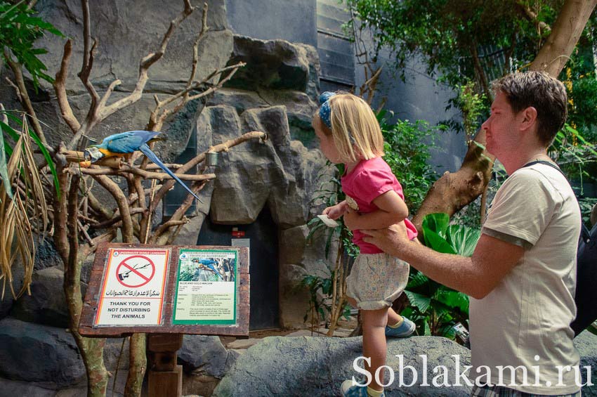 океанариум на острове Лангкави, Underwater World Langkawi