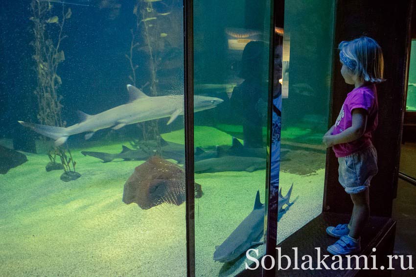 океанариум на острове Лангкави, Underwater World Langkawi