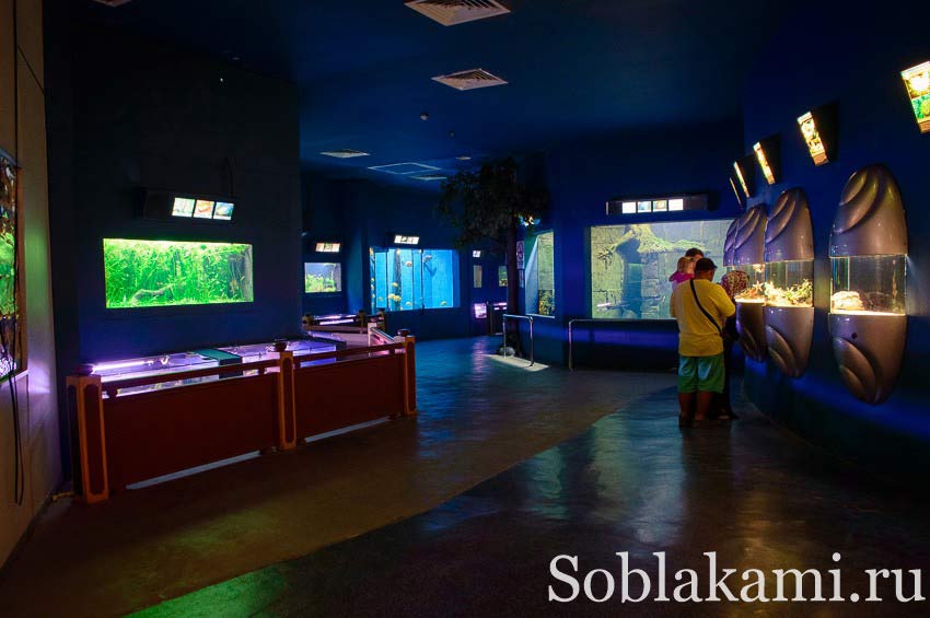 океанариум на острове Лангкави, Underwater World Langkawi