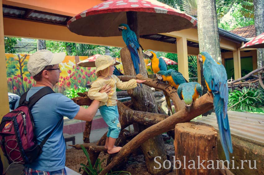 Парк дикой природы на Лангкави (Bird Paradise Wildlife Park Langkawi)