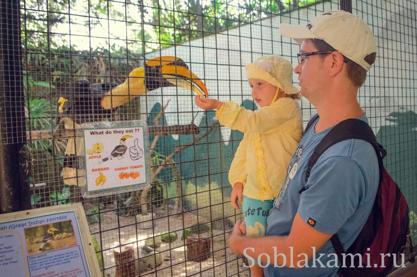 Парк дикой природы на Лангкави (Bird Paradise Wildlife Park Langkawi)