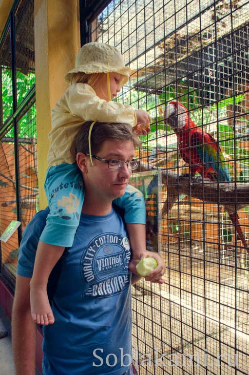 Парк дикой природы на Лангкави (Bird Paradise Wildlife Park Langkawi)