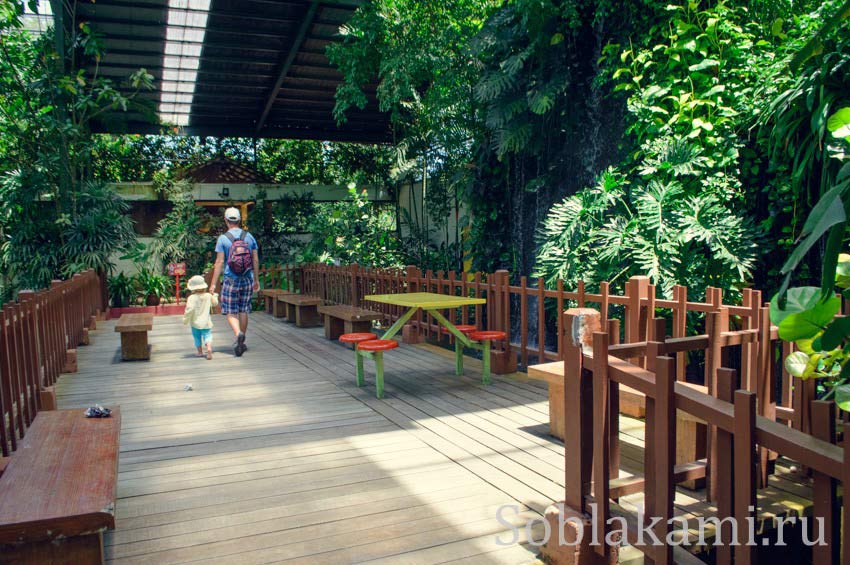 Парк дикой природы на Лангкави (Bird Paradise Wildlife Park Langkawi)