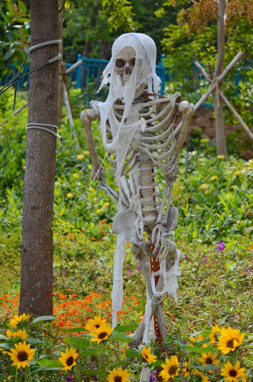 Оушен Парк, Гонконг, Ocean Park, Hongkong