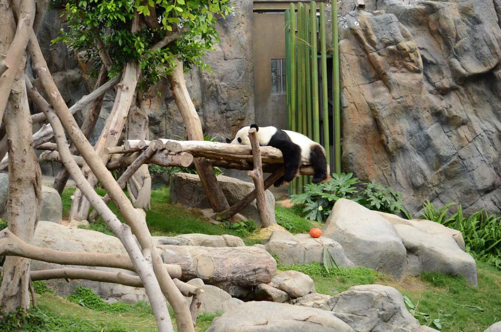 Оушен Парк, Гонконг, Ocean Park, Hongkong