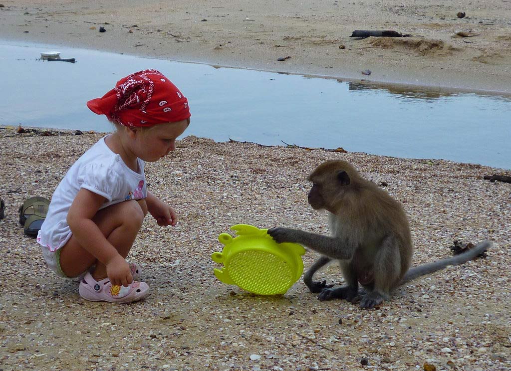 девочка на пляже с обезьяной