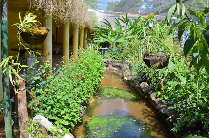 Сад бабочек в Пуэрто Принцессе, остров Палаван, Филиппины, Butterfly Garden in Puerto Princesa Palawan Island Philippines