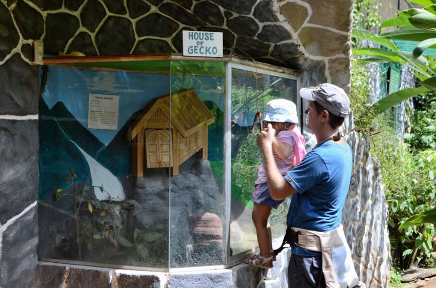 Сад бабочек в Пуэрто Принцессе, остров Палаван, Филиппины, Butterfly Garden in Puerto Princesa Palawan Island Philippines