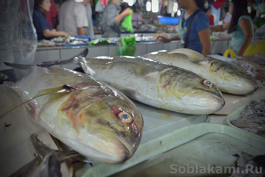 рыба на Филиппинах, названия, фото, рецепты
