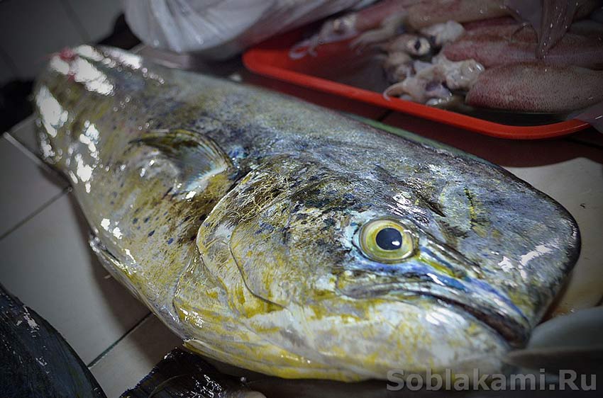 рыба на Филиппинах, названия, фото, рецепты