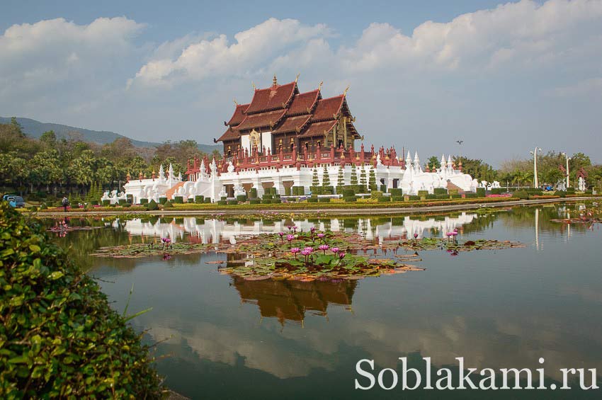 Королевский парк цветов в Чиангмае, фото, отзывы