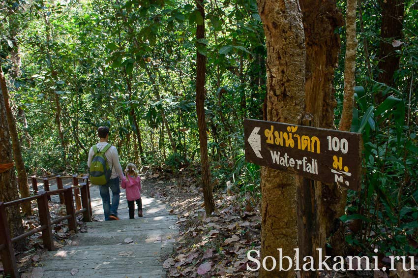 гора Дои Интанон, Таиланд, фото, отзывы