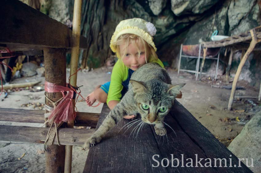 Hong and Paradise islands, Krabi, острова Хонг и Парадайз в Краби