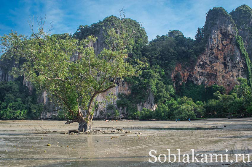 Восточный Рейлей (East Railay Beach)