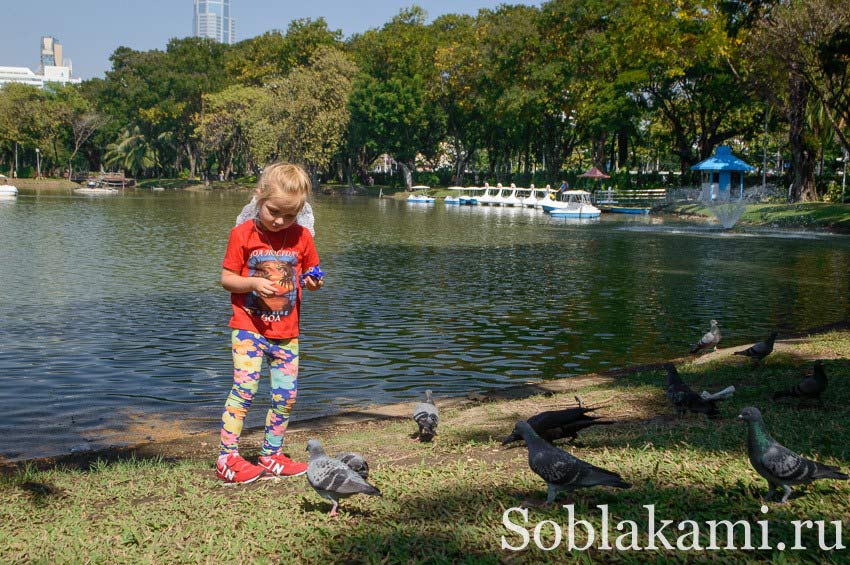 парк Люмпини в Бангкоке,Таиланд (Lumphini park Bangkok)