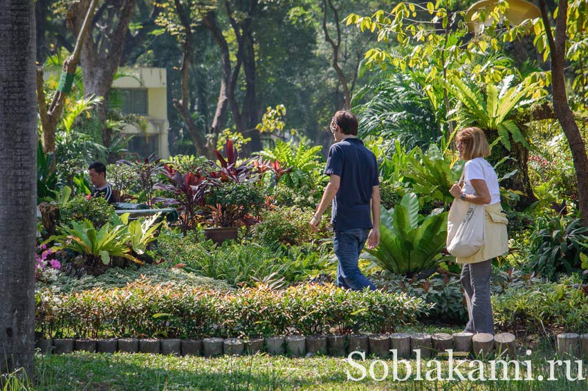 парк Люмпини в Бангкоке,Таиланд (Lumphini park Bangkok)