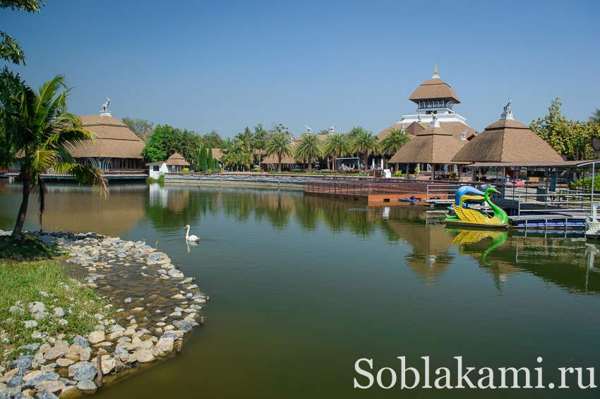 Chiang Mai Night safari, Ночное сафари в Чиангмае, фото