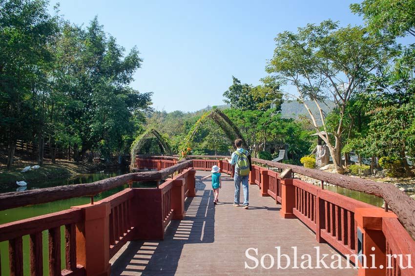 Chiang Mai Night safari, Ночное сафари в Чиангмае, фото