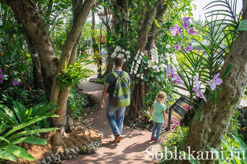Flora Royal Park Rajapruek Chiangmai, фото, отзывы
