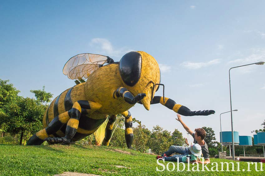 Роял Парк в Чиангмае (Flora Royal Park Rajapruek Chiangmai)