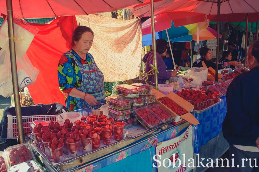 Деревни хмонгов на горе Дои Сутеп в Чиангмае, фото, отзывы