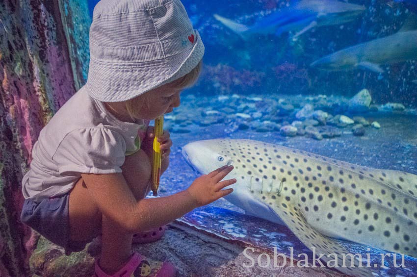 экскурсия на южные острова, Нячанг, отзывы, фото