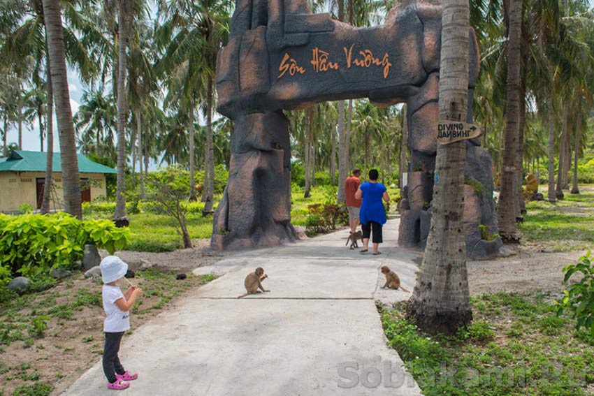 остров обезьян, Нячанг, как добраться, сколько стоит