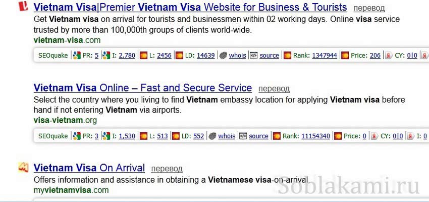 виза во Вьетнам, анкета