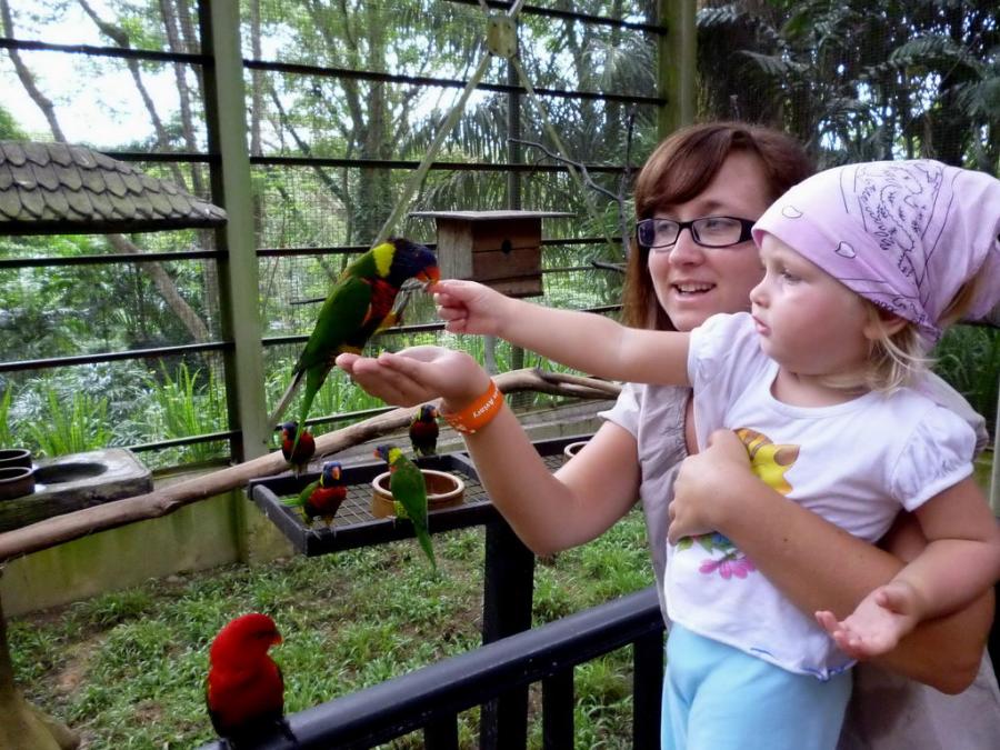 парк птиц в Куала-Лумпуре